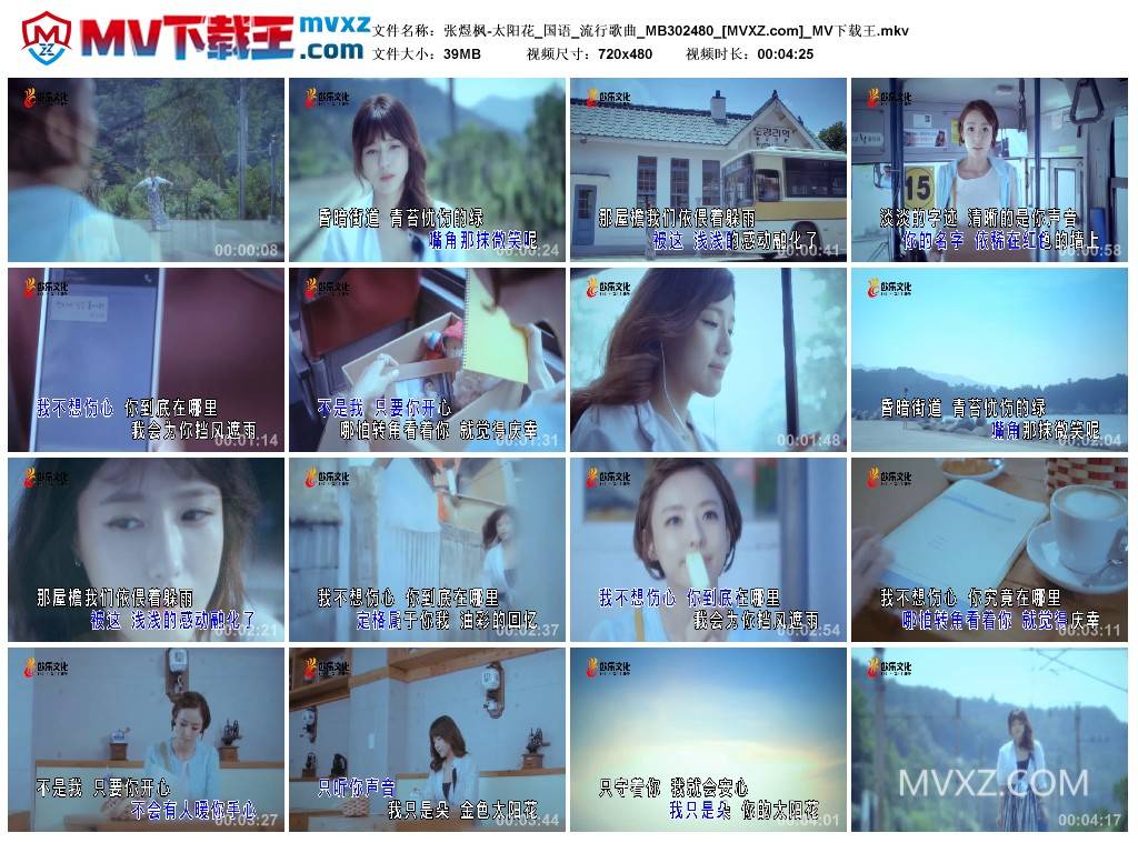 张煜枫-太阳花_国语_流行歌曲_MB302480